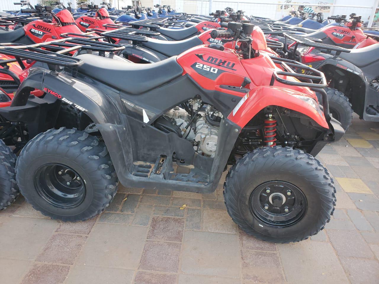Quad Bike Fleet